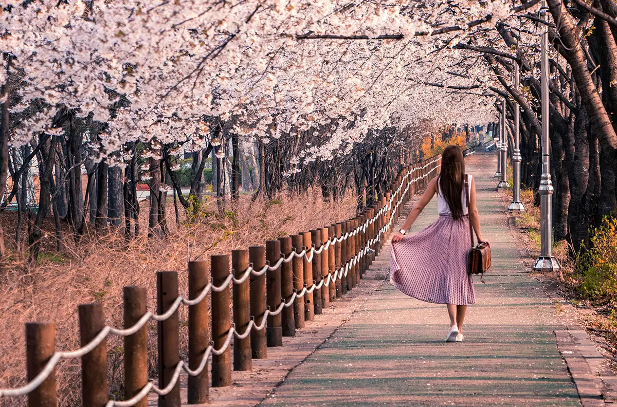 tspa   -2026 Spring Beauty Trends: 9 Stunning Looks You Can’t Miss This Season